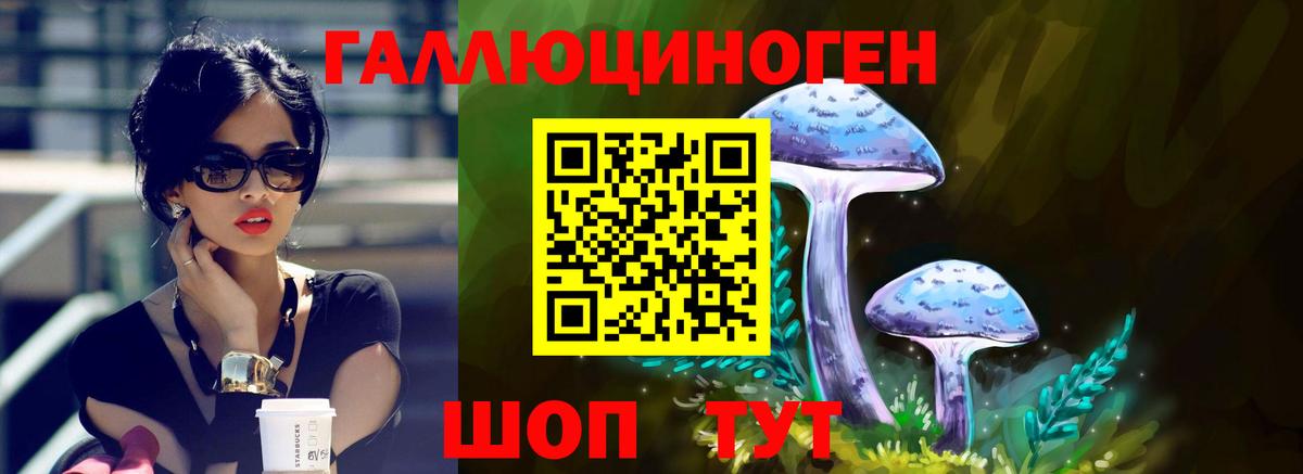Баксан  Галлюциногенные грибы Psilocybe  Вход с VPN 